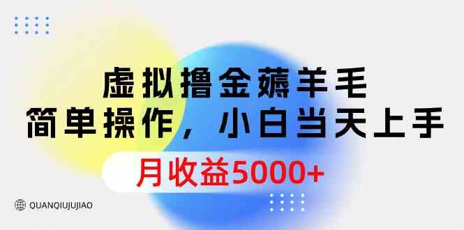 （9864期）虚拟撸金薅羊毛，简单操作，小白当天上手，月收益5000+-源码网