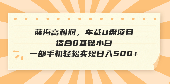 蓝海高利润，车载U盘项目，适合0基础小白，一部手机轻松实现日入500+-源码网